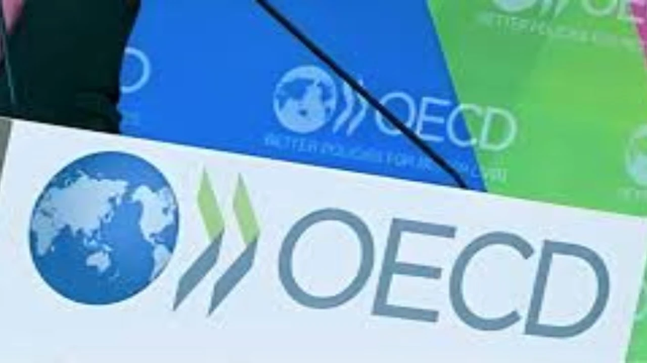 5.5% من الشركات الأجنبية في مصر تخصص استثمارات لأنشطة البحث والتطوير